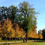 1201S 31 Schloss Neuhaus Okt 03